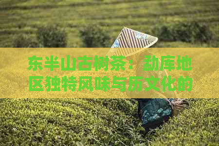 东半山古树茶：勐库地区独特风味与历文化的完美融合