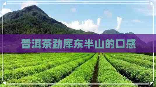 普洱茶勐库东半山的口感