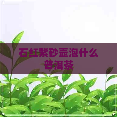 石红紫砂壶泡什么普洱茶