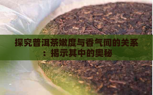 探究普洱茶嫩度与香气间的关系：揭示其中的奥秘