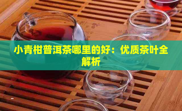 小青柑普洱茶哪里的好：优质茶叶全解析