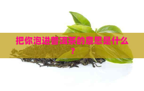 把你泡进普洱茶的意思是什么？