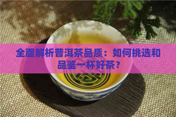 全面解析普洱茶品质：如何挑选和品鉴一杯好茶？