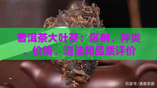 普洱茶大叶茶：区别、种类、价格、泡法和品质评价