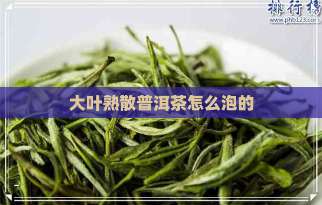 大叶熟散普洱茶怎么泡的