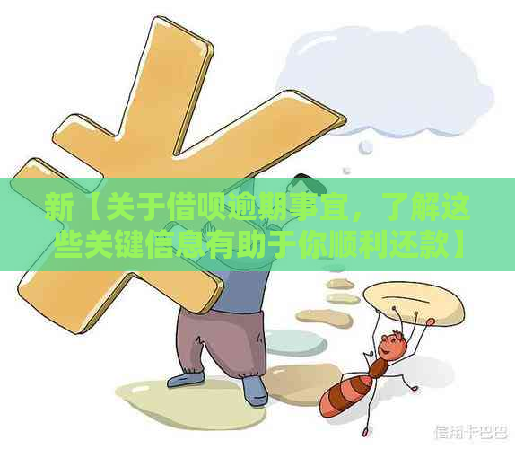 新【关于借呗逾期事宜，了解这些关键信息有助于你顺利还款】