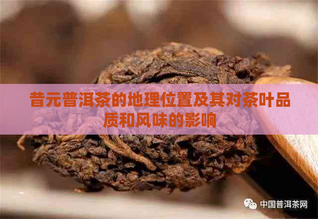 昔元普洱茶的地理位置及其对茶叶品质和风味的影响