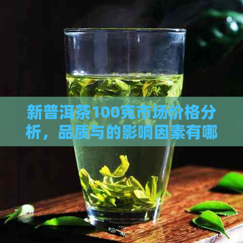 新普洱茶100克市场价格分析，品质与的影响因素有哪些？