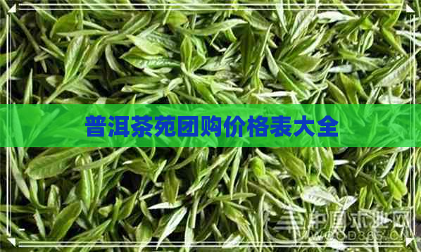 普洱茶苑团购价格表大全