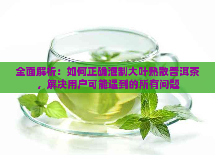 全面解析：如何正确泡制大叶熟散普洱茶，解决用户可能遇到的所有问题