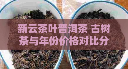 新云茶叶普洱茶 古树茶与年份价格对比分析