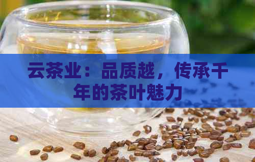 云茶业：品质越，传承千年的茶叶魅力