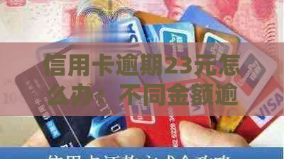 信用卡逾期23元怎么办：不同金额逾期处理方法大对比