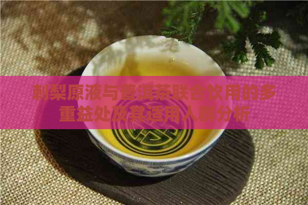 刺梨原液与普洱茶联合饮用的多重益处及其适用人群分析