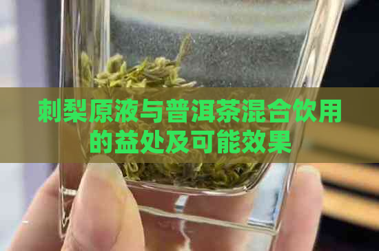 刺梨原液与普洱茶混合饮用的益处及可能效果