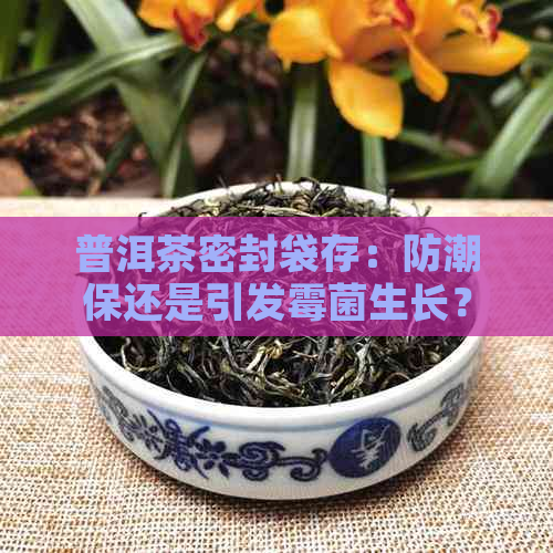 普洱茶密封袋存：防潮保还是引发霉菌生长？