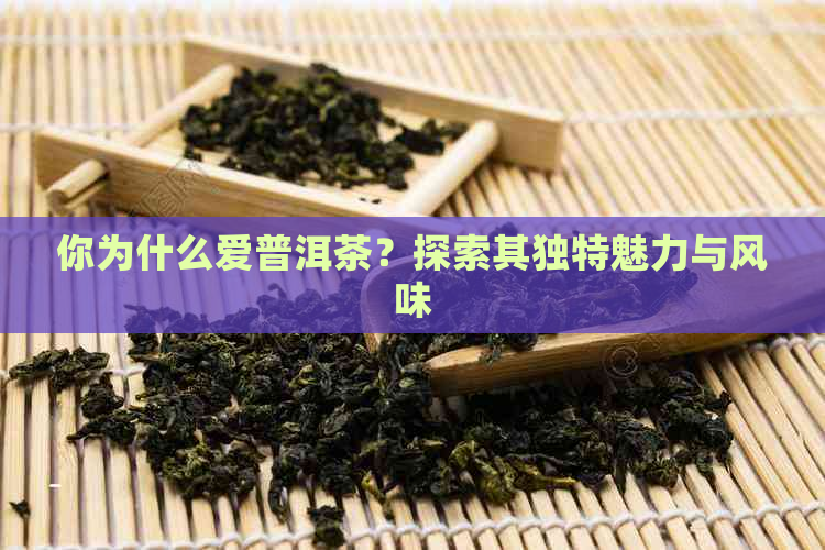 你为什么爱普洱茶？探索其独特魅力与风味