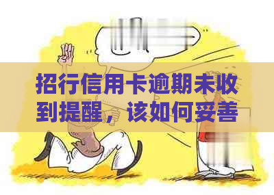 招行信用卡逾期未收到提醒，该如何妥善处理？