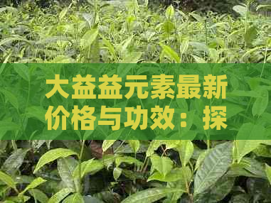 大益益元素最新价格与功效：探究大益茶中的独特成分及其熟茶品质