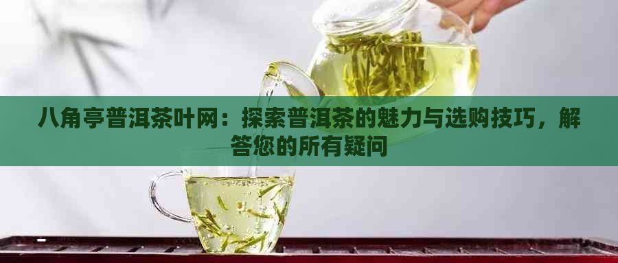 八角亭普洱茶叶网：探索普洱茶的魅力与选购技巧，解答您的所有疑问