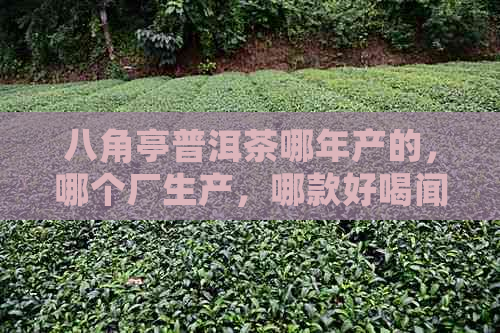 八角亭普洱茶哪年产的，哪个厂生产，哪款好喝闻？