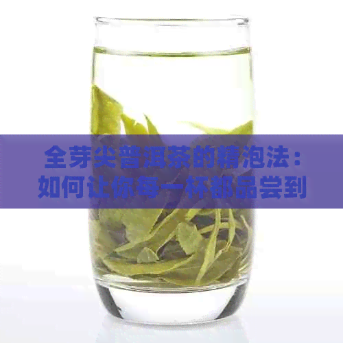 全芽尖普洱茶的精泡法：如何让你每一杯都品尝到极致的口感