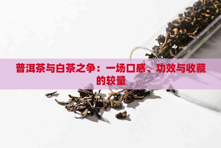 普洱茶与白茶之争：一场口感、功效与收藏的较量