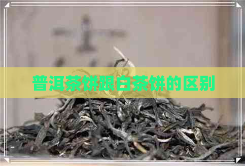 普洱茶饼跟白茶饼的区别