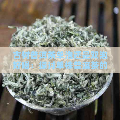 古树普洱茶单泡还是双泡好喝：探讨单株普洱茶的泡法及其口感表现