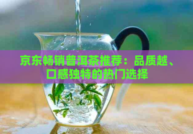 京东畅销普洱茶推荐：品质越、口感独特的热门选择