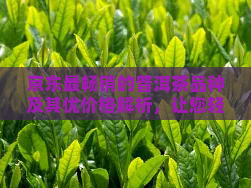 京东最畅销的普洱茶品种及其优价格解析，让您轻松选购高性价比好茶