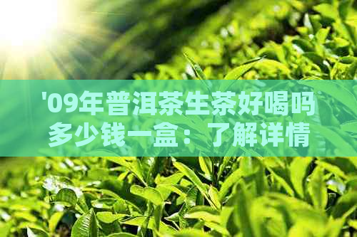 '09年普洱茶生茶好喝吗多少钱一盒：了解详情及价格'