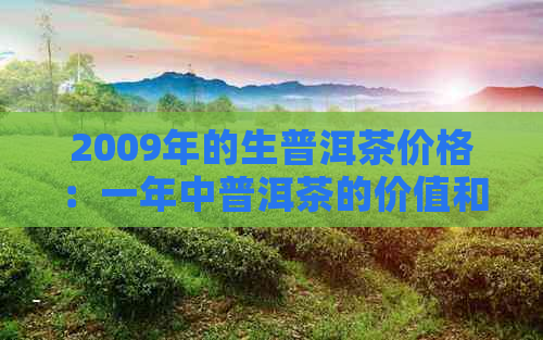 2009年的生普洱茶价格：一年中普洱茶的价值和市场分析