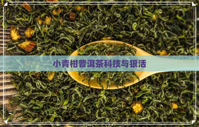 小青柑普洱茶科技与狠活