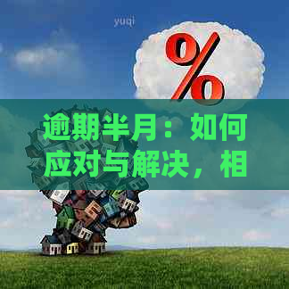 逾期半月：如何应对与解决，相关策略和建议全面解析