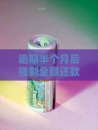 逾期半个月后强制全额还款：理解、应对与策略