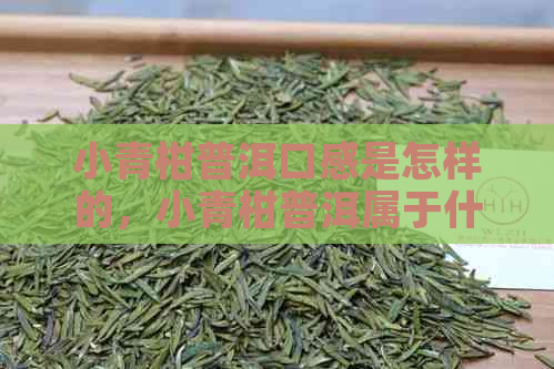 小青柑普洱口感是怎样的，小青柑普洱属于什么茶，小青柑普洱茶的作用与功效