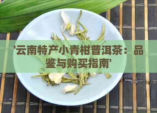 '云南特产小青柑普洱茶：品鉴与购买指南'