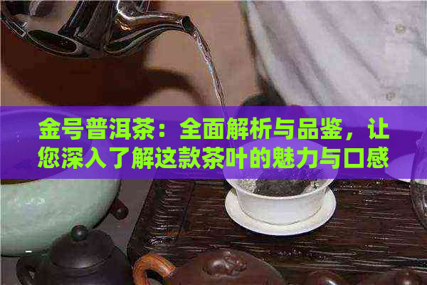 金号普洱茶：全面解析与品鉴，让您深入了解这款茶叶的魅力与口感