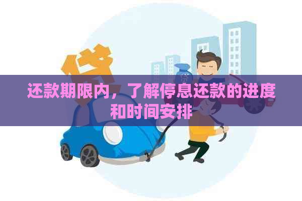 还款期限内，了解停息还款的进度和时间安排