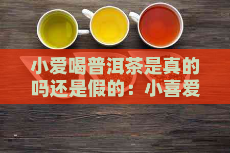 小爱喝普洱茶是真的吗还是假的：小喜爱普洱茶的真实性探究