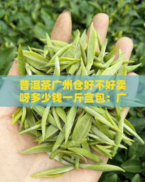 普洱茶广州仓好不好卖呀多少钱一斤盒包：广州普洱茶仓库价格及销售情况