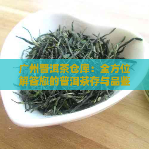 广州普洱茶仓库：全方位解答您的普洱茶存与品鉴需求