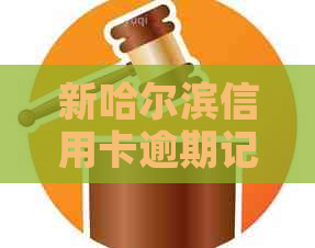 新哈尔滨信用卡逾期记录更新频率及原因全解析