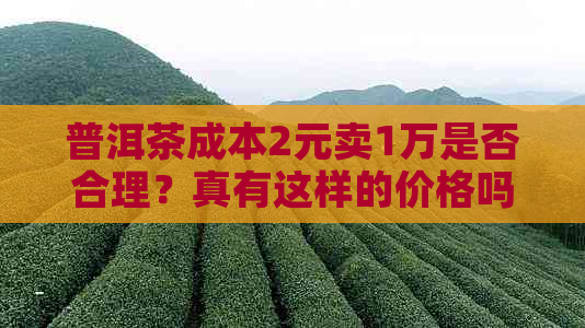 普洱茶成本2元卖1万是否合理？真有这样的价格吗？