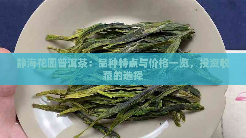 静海花园普洱茶：品种特点与价格一览，投资收藏的选择