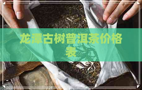 龙潭古树普洱茶价格表