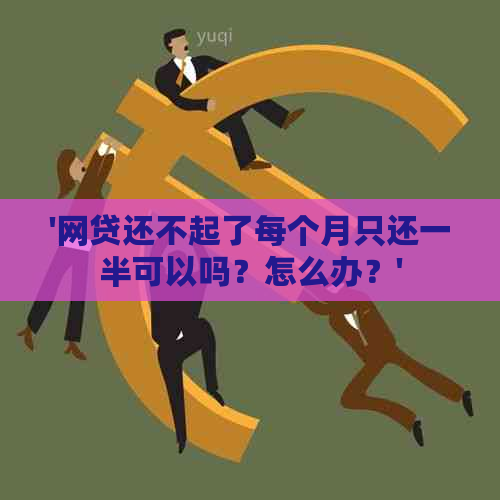 '网贷还不起了每个月只还一半可以吗？怎么办？'