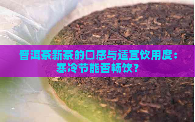 普洱茶新茶的口感与适宜饮用度：寒冷节能否畅饮？