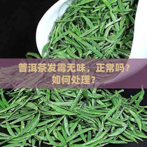 普洱茶发霉无味，正常吗？如何处理？